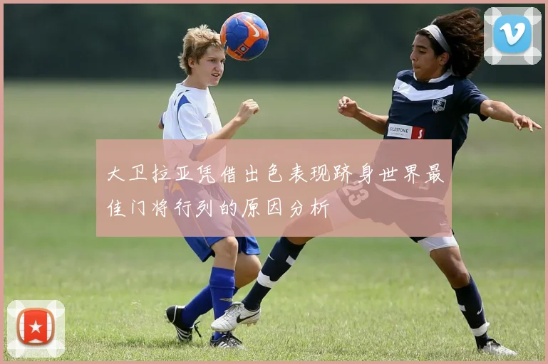 大卫拉亚凭借出色表现跻身世界最佳门将行列的原因分析